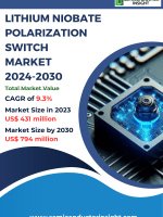 Lithium-Niobate-Polarization-Switch