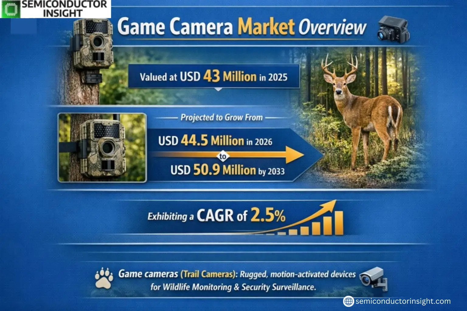 Xyz market size & forecast