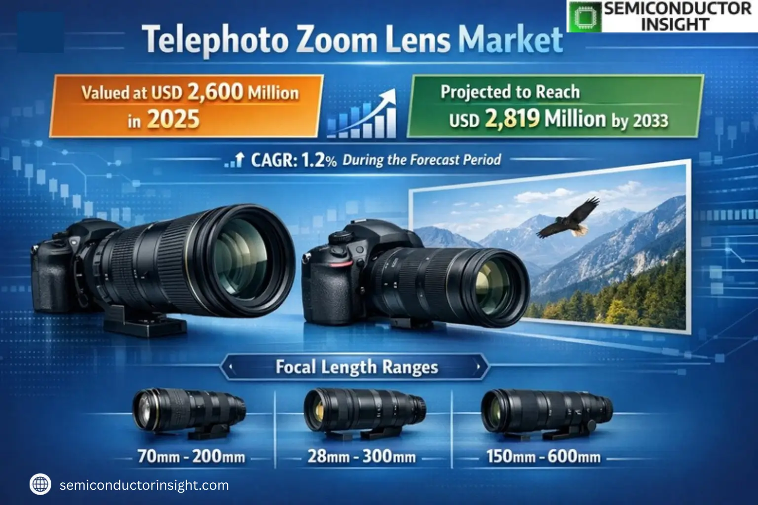 Xyz market size & forecast