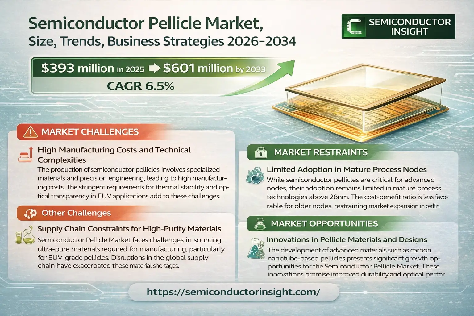 Semiconductor Pellicle Market Insights