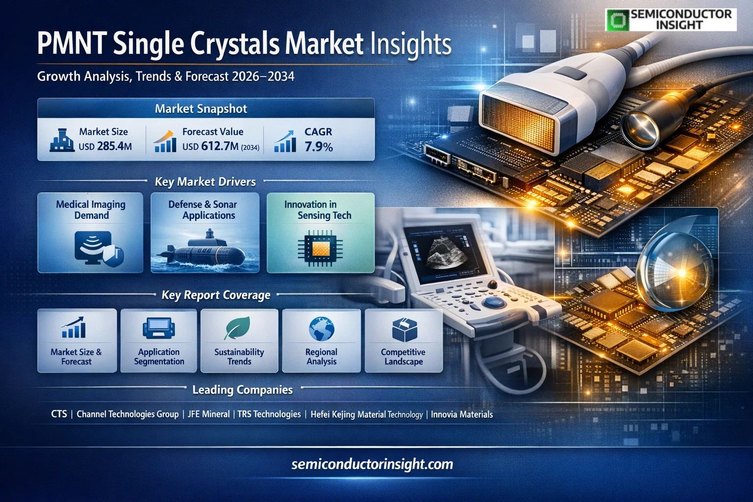 PMNT Single Crystals Market, Trends, Business Strategies 2026-2034