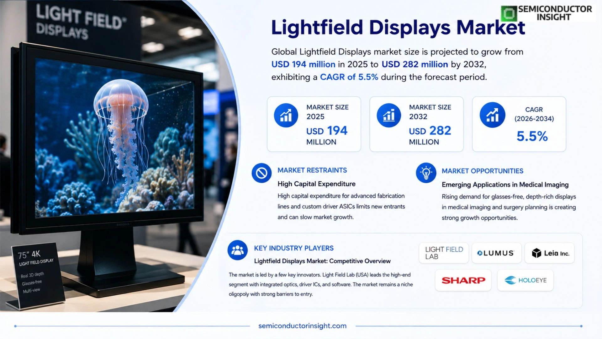 Lightfield Displays Market Growth 2026