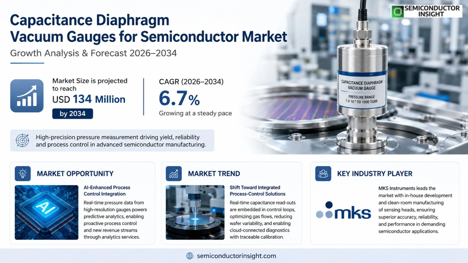 Capacitance Diaphragm Vacuum Gauges for Semiconductor Market Share