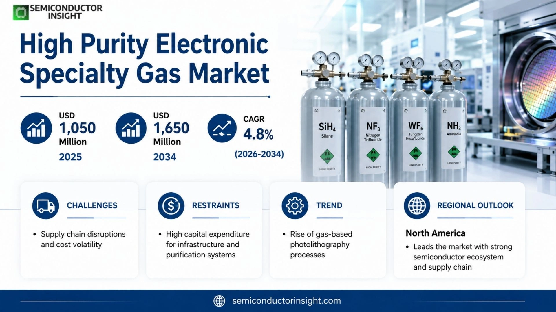 High Purity Electronic Specialty Gas Market Size & Forecast